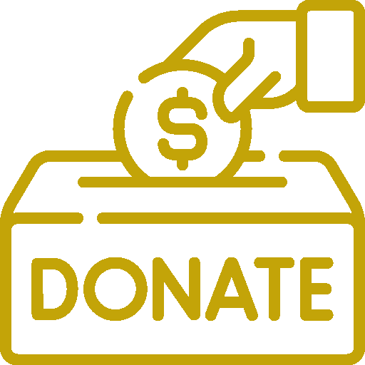 Donate Icon